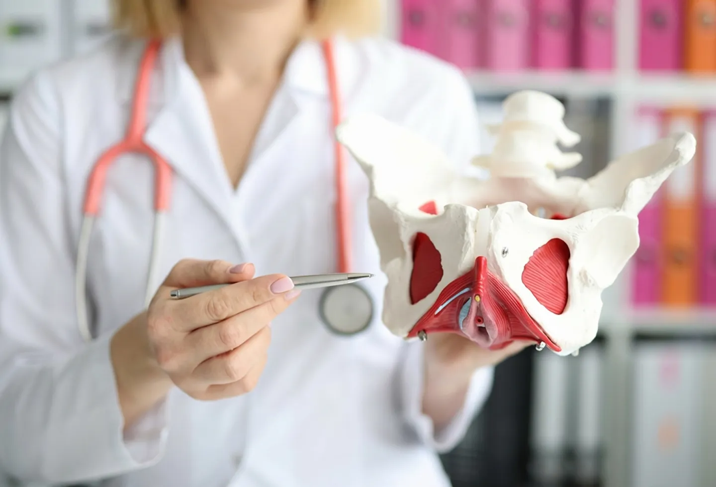 Pelvic floor specialist holding pelvic model and pointing to the area near the piriformis.