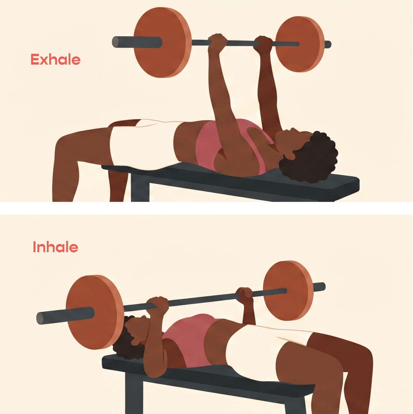 Illustration of woman lifting heavy weights doing a bench press with a barbell, breathing in and out in coordination of the movement to support her pelvic floor and whole body.