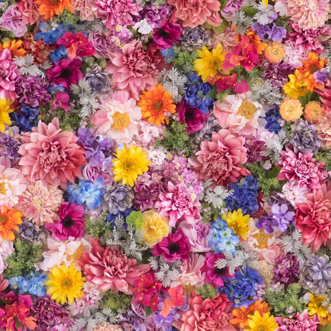 Colorful flowers representing gender affirming surgery recovery.