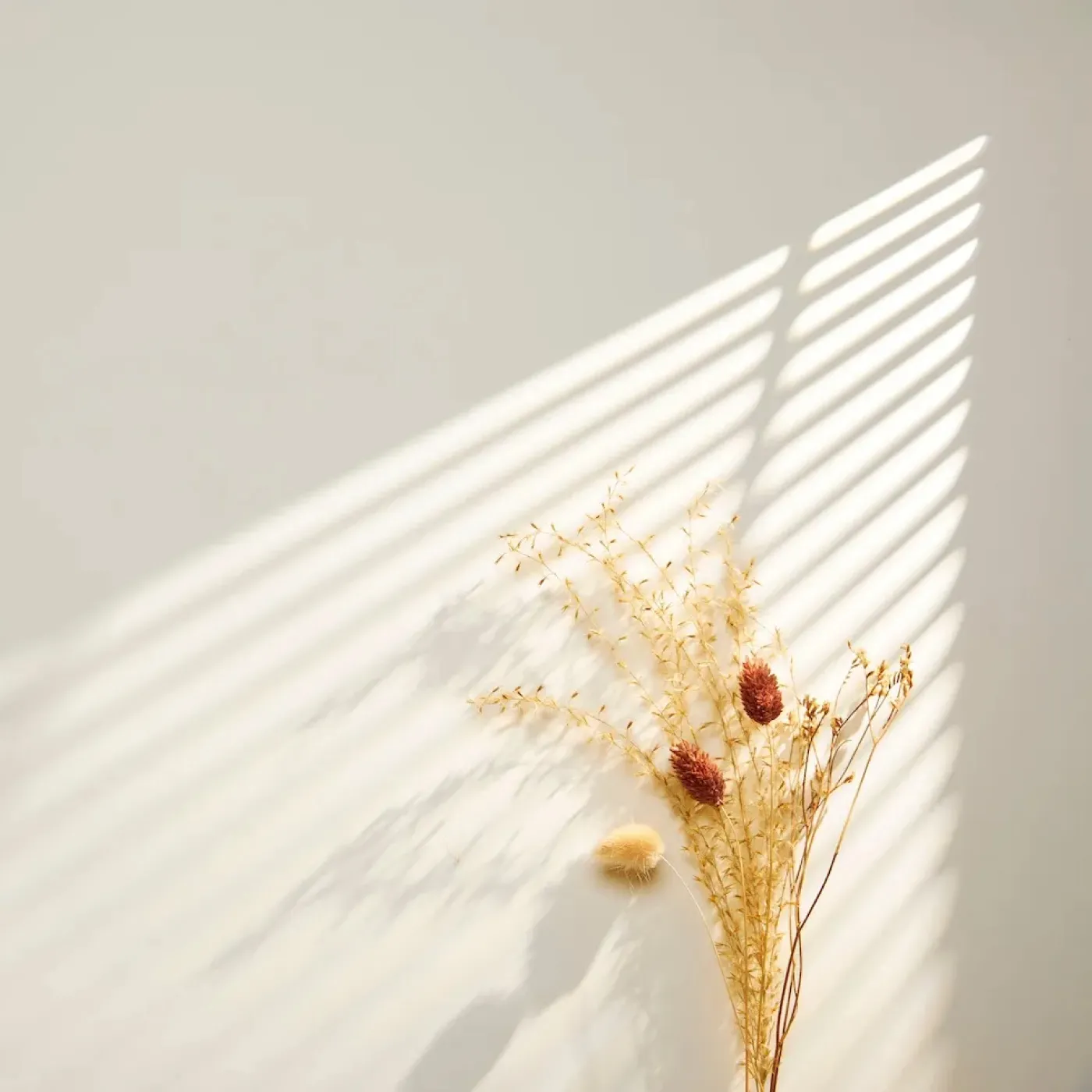 Dried flowers against a beige wall for a story about miscarriage.