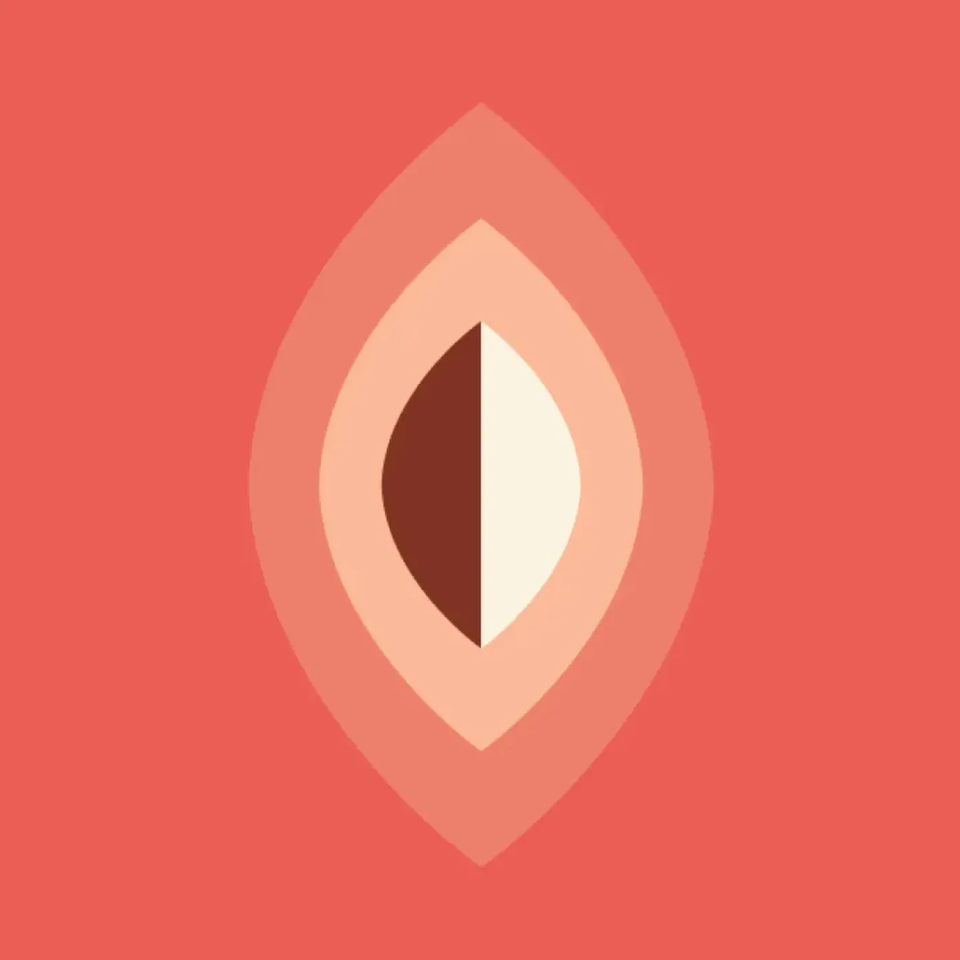 A colorful illustration representing a vagina.