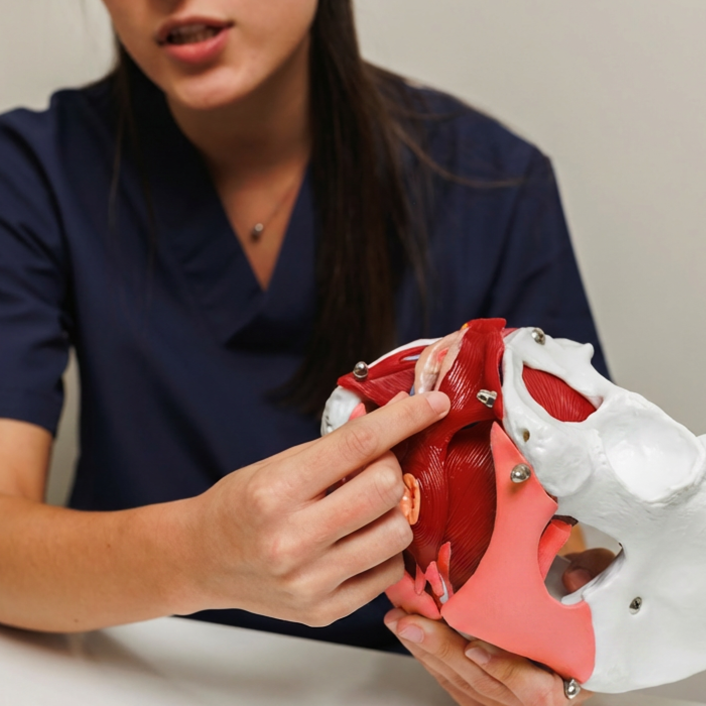 Pelvic floor physical therapist pointing to a muscle on a pelvic model, representing them answering the question "what is pelvic floor dysfunction"