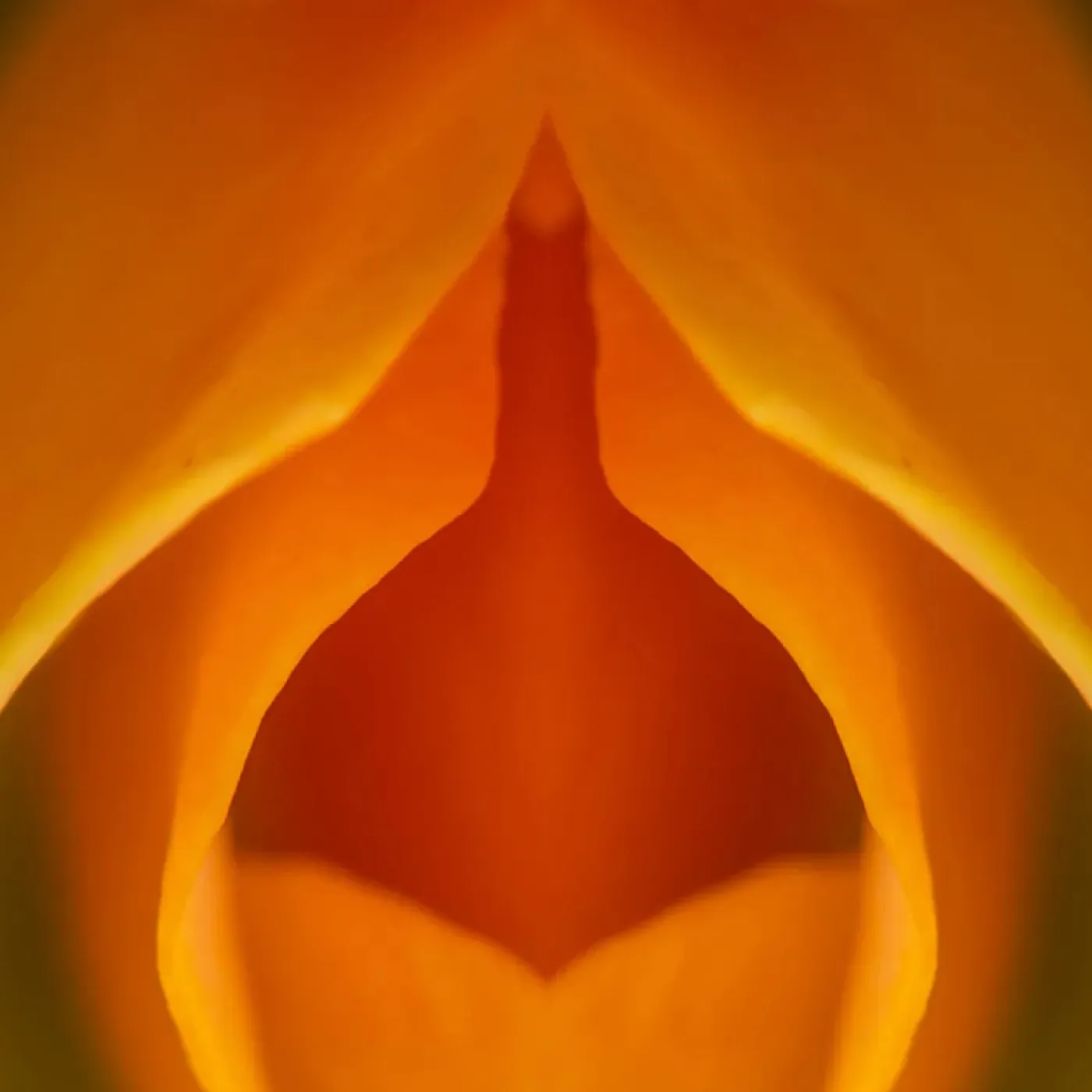 A close-up image of a Georgia O'Keefe flower painting that looks like the vulva for a story on vulva anatomy.