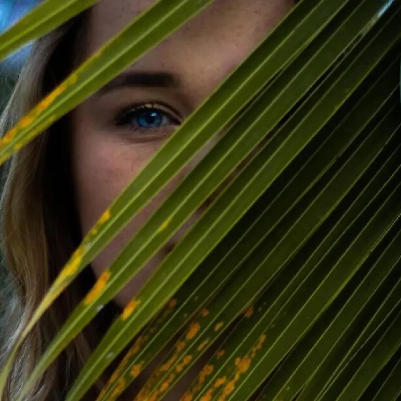 A woman standing behind a large plant so that only her bright blue eye is visble.