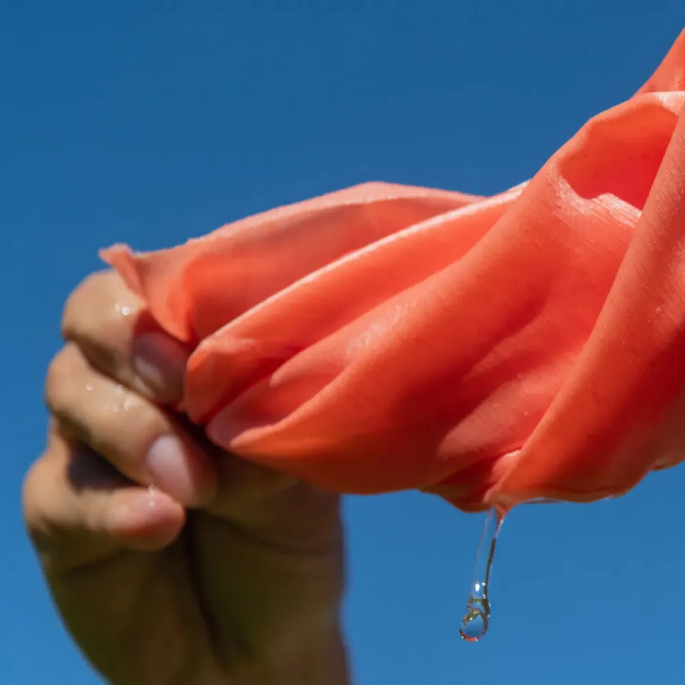 A woman wringing water out of a pink cloth.