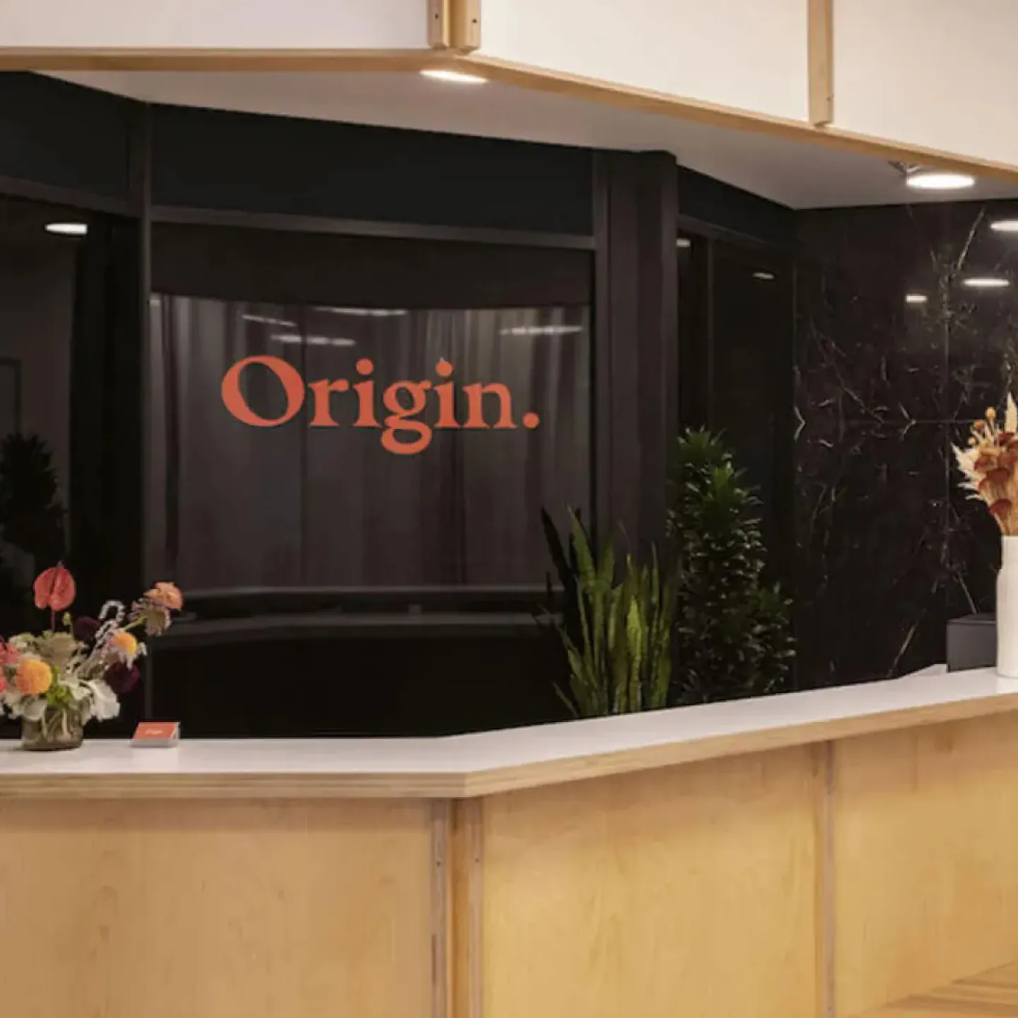 Origin's reception in Los Angeles.