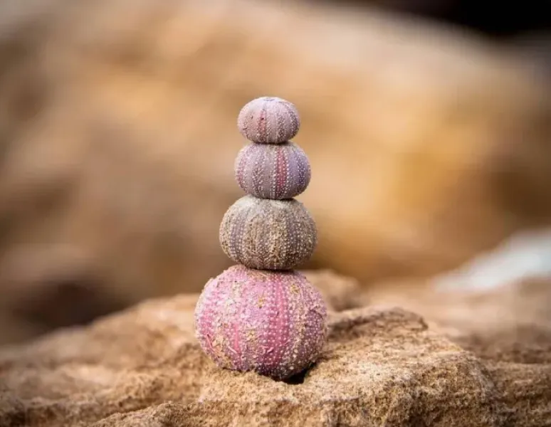 A stack of round shells to represent constipation.