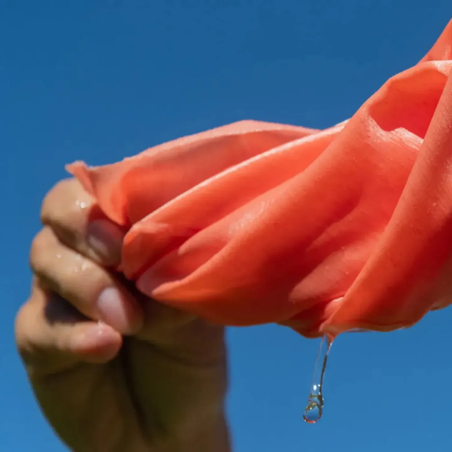 A woman wringing water out of a pink cloth.