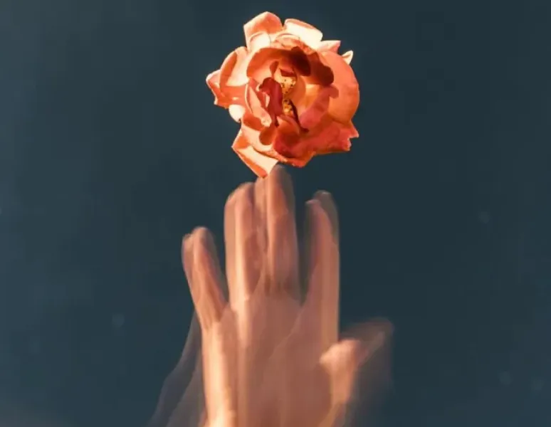 A photo of a woman's hand that looks like its vibrating as it touches a flower.