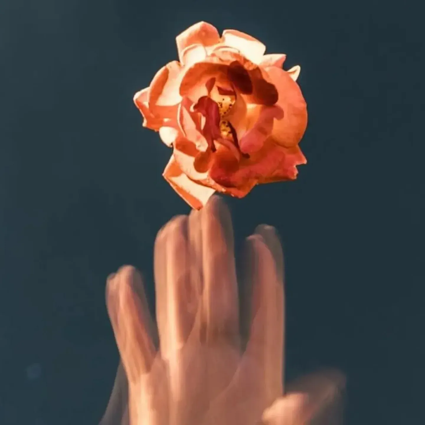 A photo of a woman's hand that looks like its vibrating as it touches a flower.
