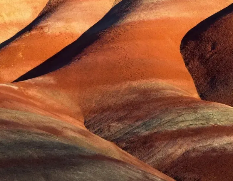 A photograph of striated red rock to represent the abdominal muscles.