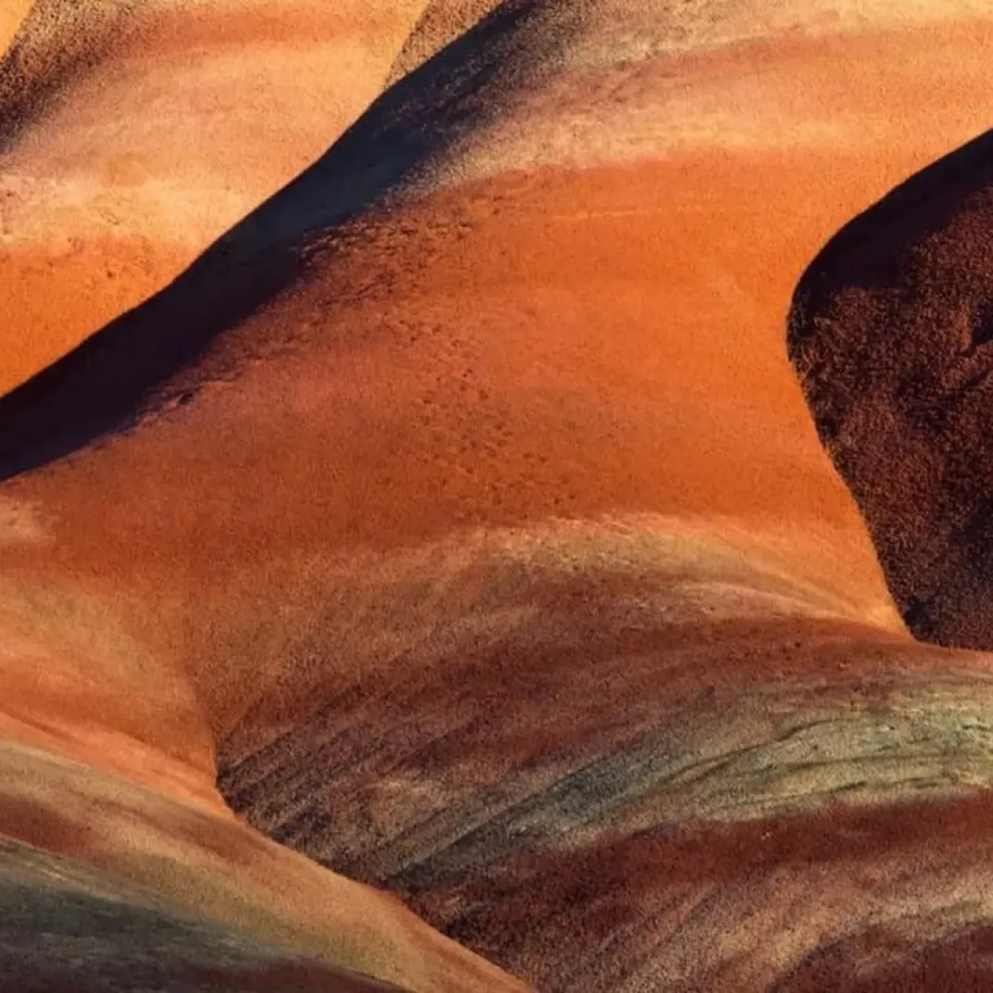 A photograph of striated red rock to represent the abdominal muscles.