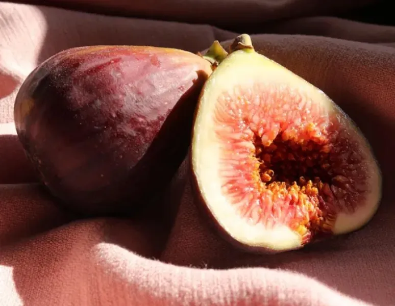 A close up photo of a fig to represent the female reproductive system in menopause.