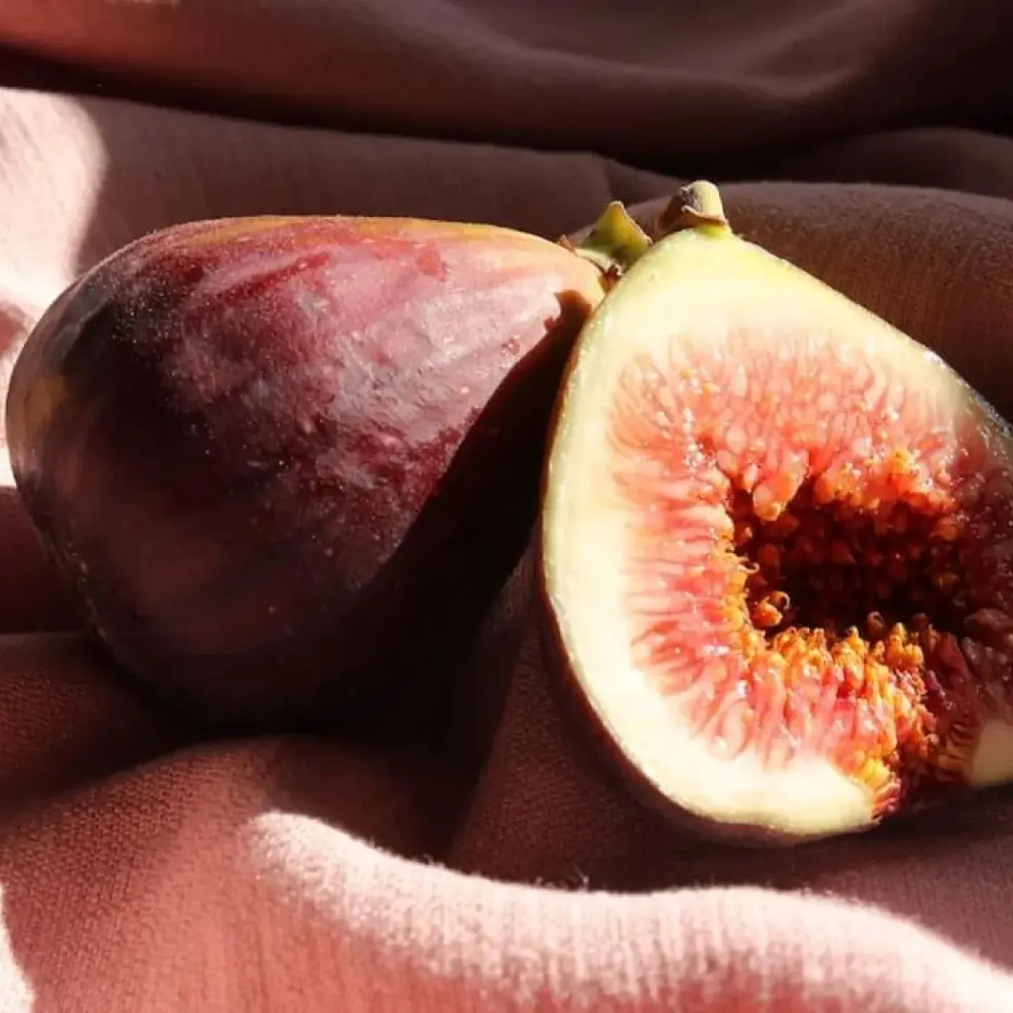 A close up photo of a fig to represent the female reproductive system in menopause.