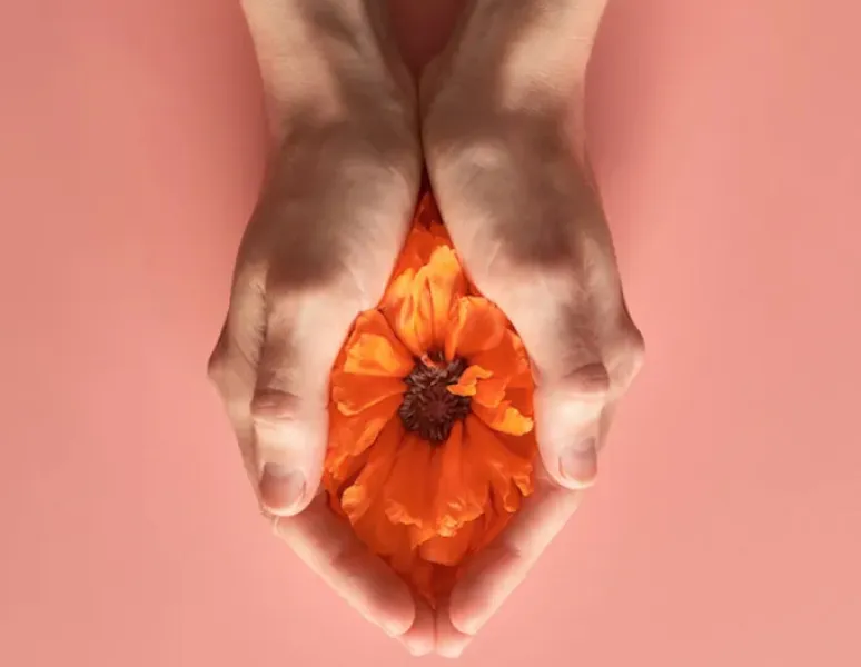 A coral colored poppy cradled between a woman's hands on a pink background.