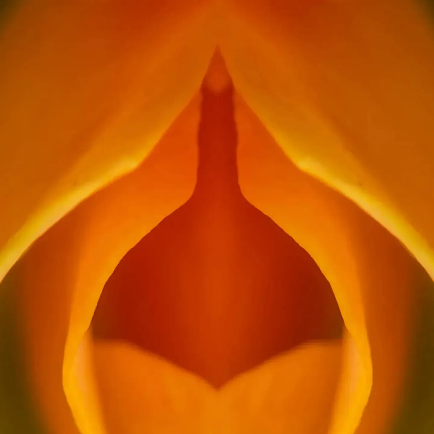 A close-up image of a Georgia O'Keefe flower painting that looks like the vulva for a story on vulva anatomy.