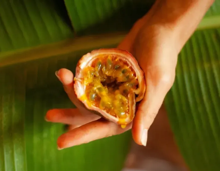 A hand holding a passionfruit to represent vaginoplasty for transgender women.