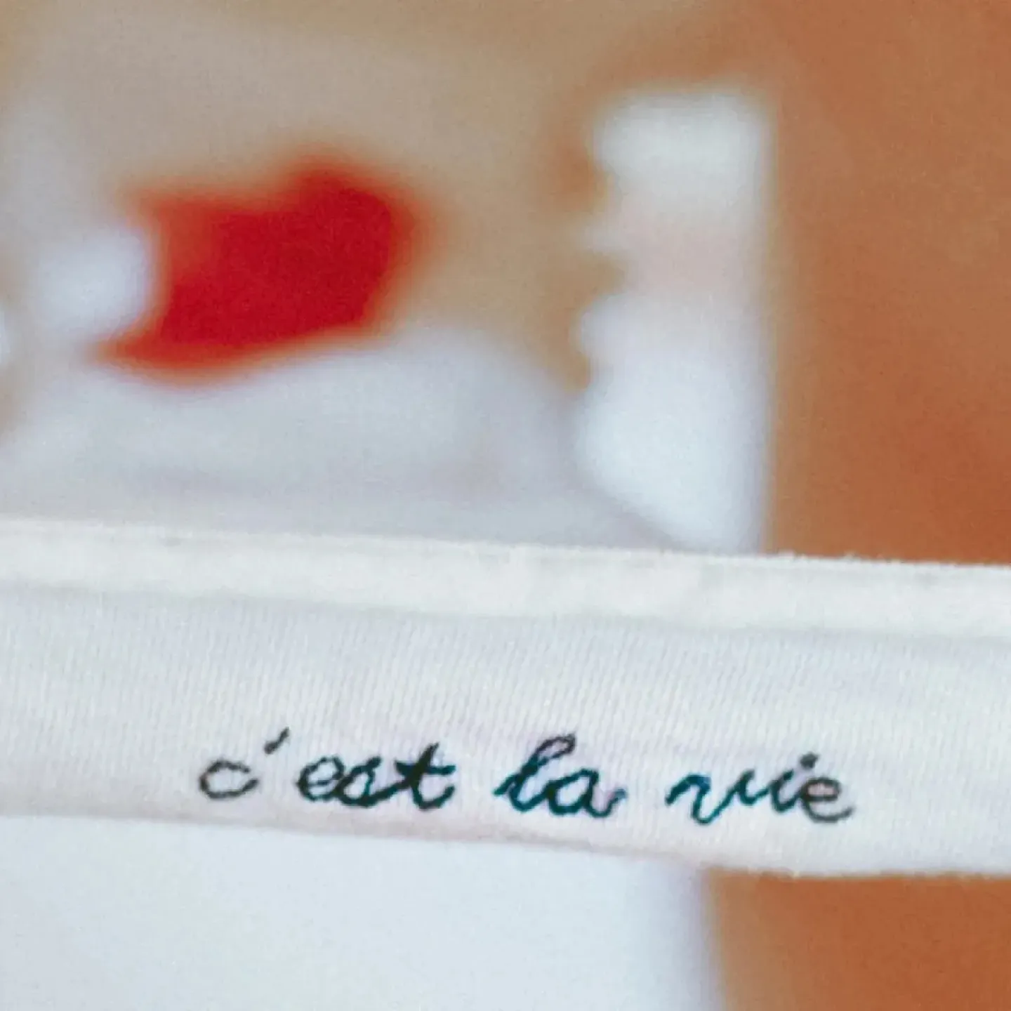 A pair of underwear, stained with period blood, with the words "c'est la vie" embroidered on the front.