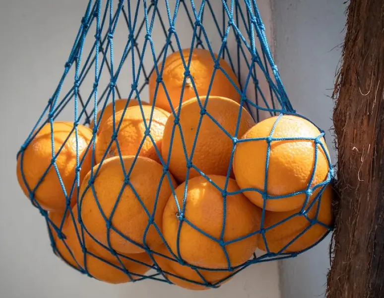 Oranges in a net back to represent constipation and the pelvic floor.