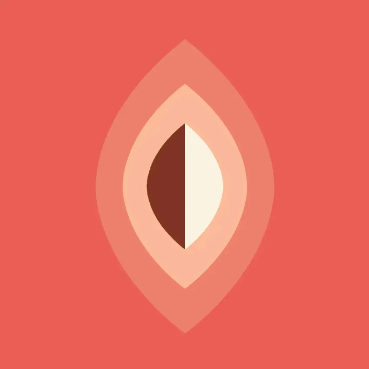 A colorful illustration representing a vagina.