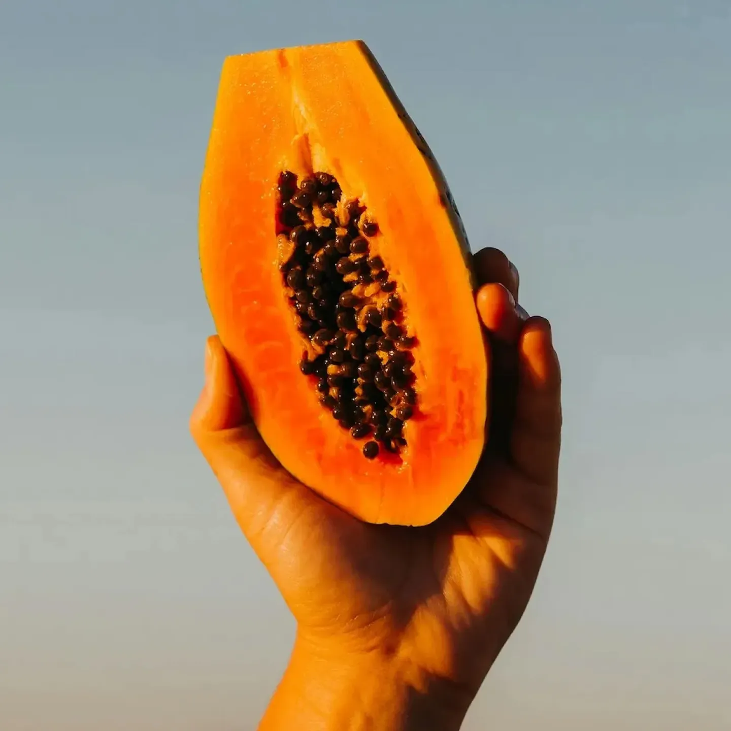 A woman's hand holding up a papaya.