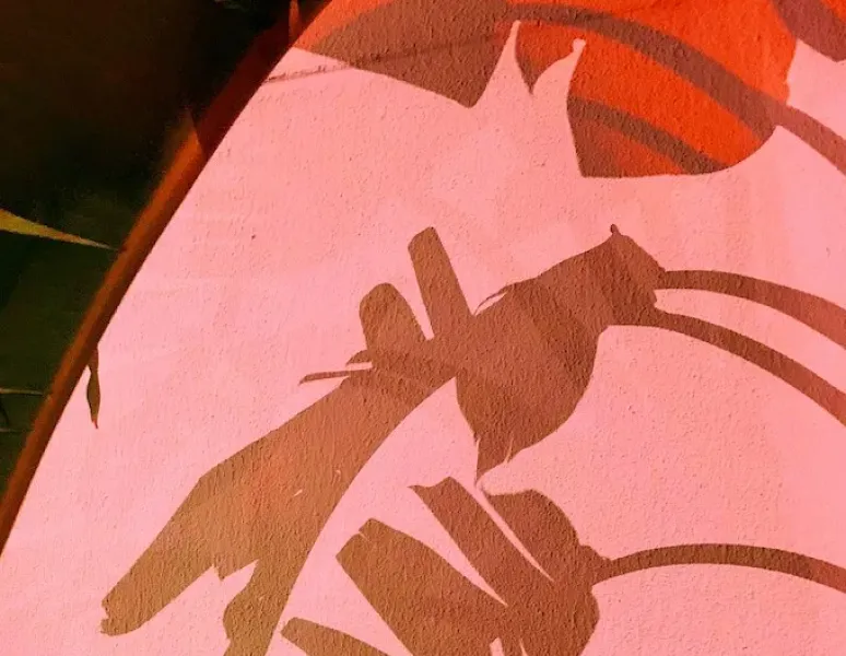 The shadow of large green leaves on a coral colored wall to represent the subtle hard-to-describe sensations of pelvic floor pain.