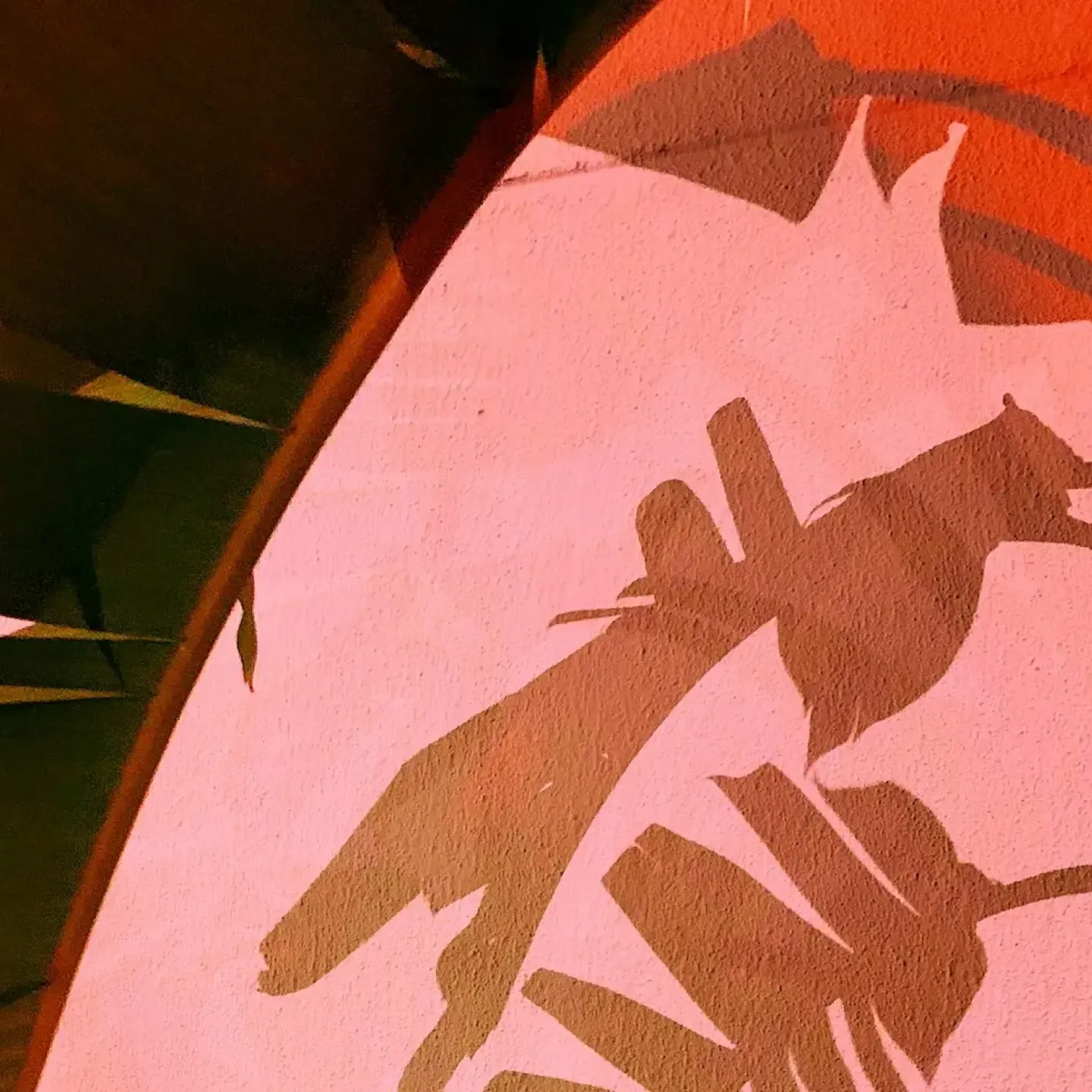 The shadow of large green leaves on a coral colored wall to represent the subtle hard-to-describe sensations of pelvic floor pain.