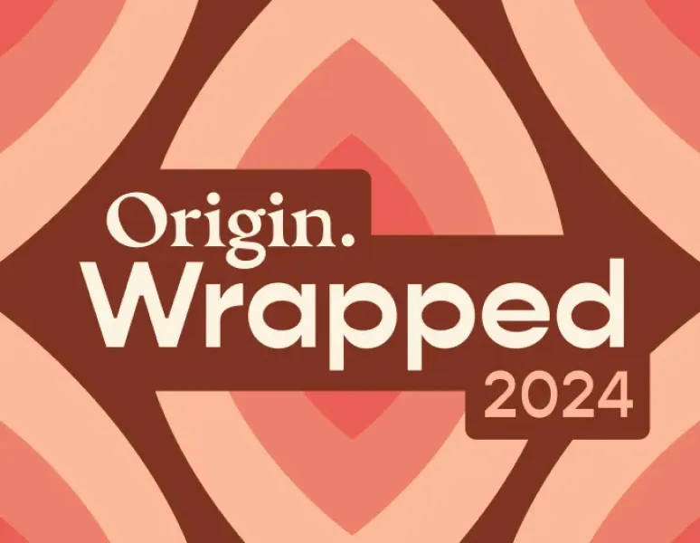 Origin Wrapped 2024.