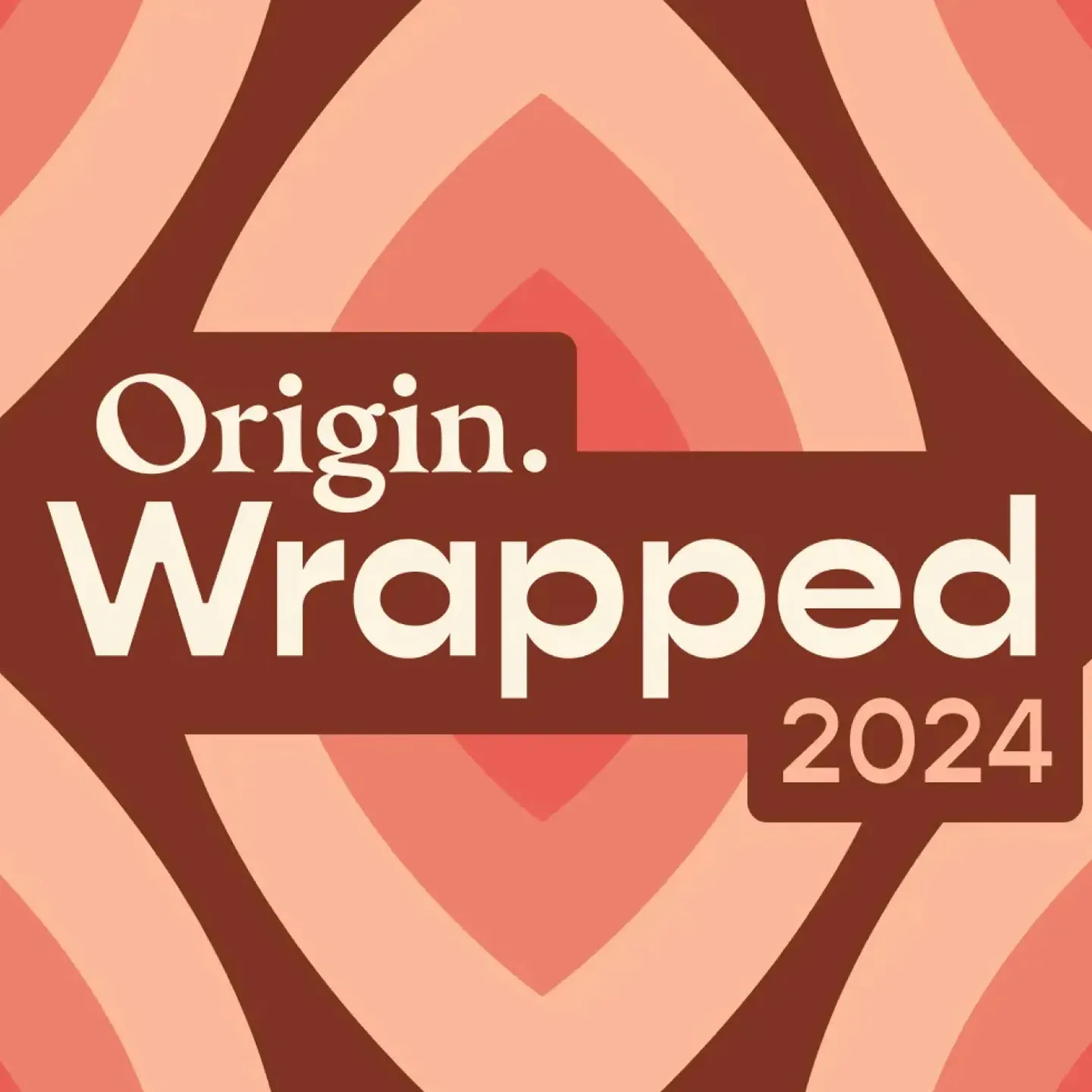Origin Wrapped 2024.