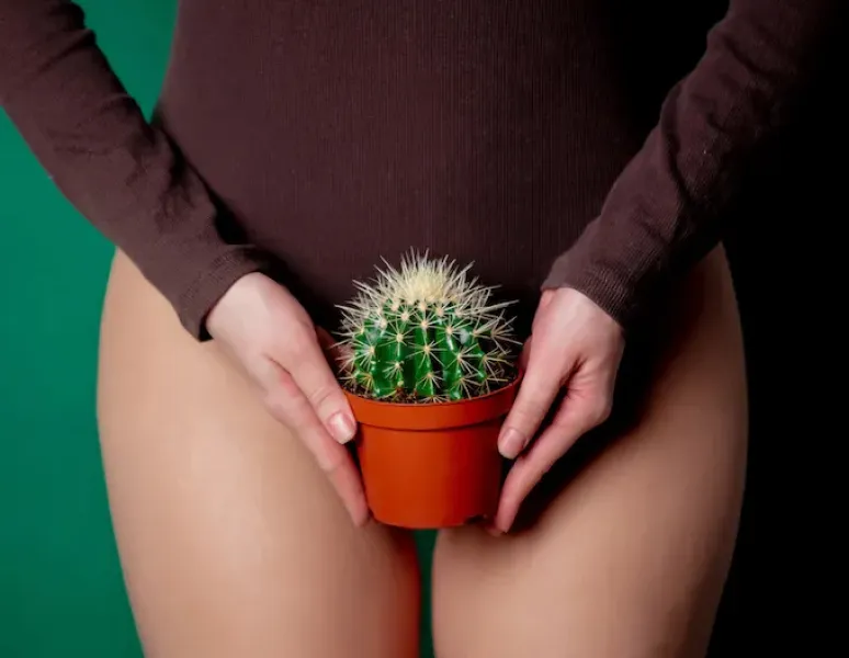 A women holding a catus over her bladder to symbolize urinary retention.
