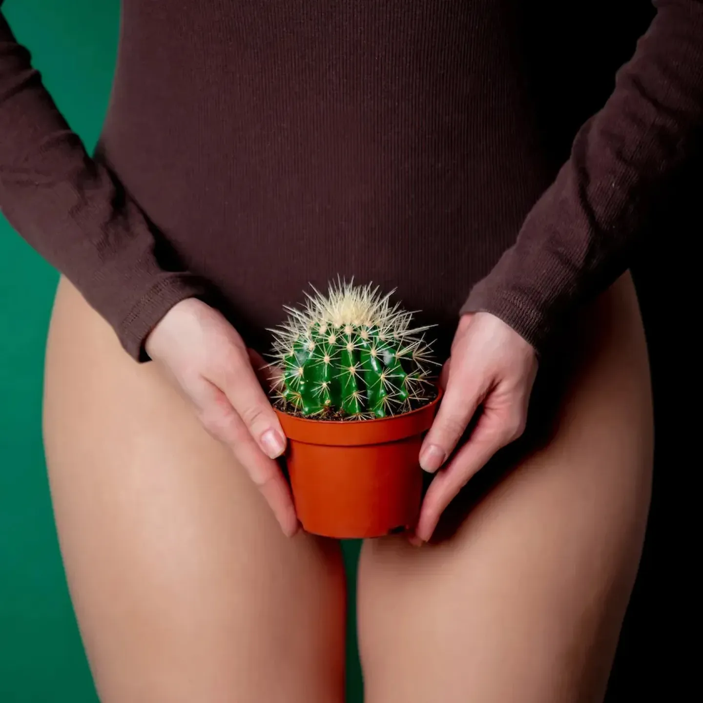 A women holding a catus over her bladder to symbolize urinary retention.