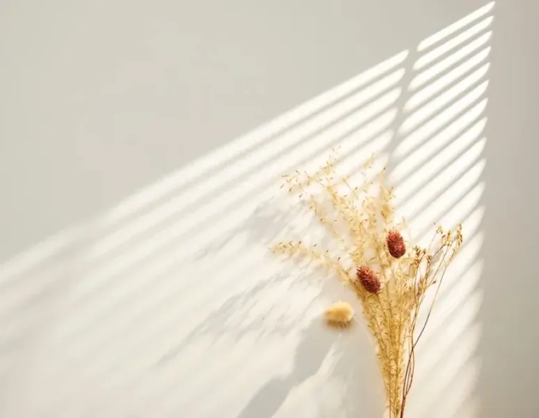 Dried flowers against a beige wall for a story about miscarriage.