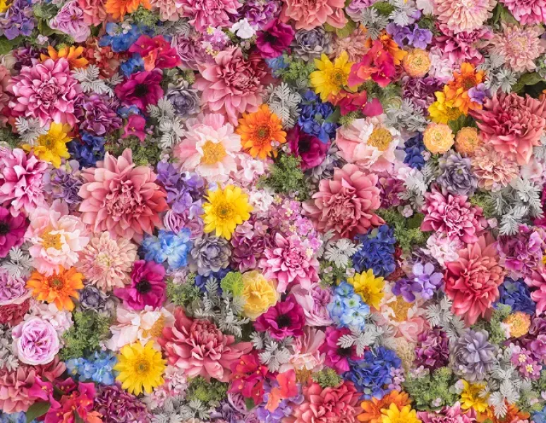 Colorful flowers representing gender affirming surgery recovery.
