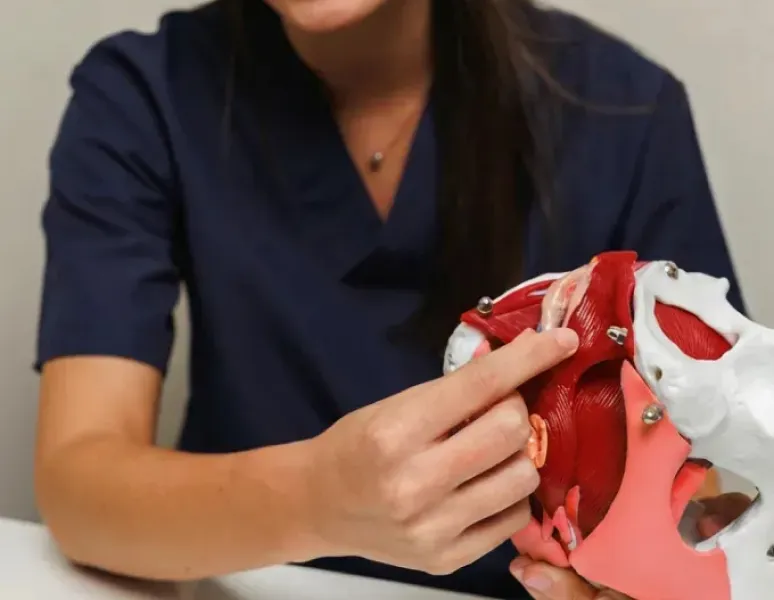 Pelvic floor physical therapist pointing to a muscle on a pelvic model, representing them answering the question "what is pelvic floor dysfunction".