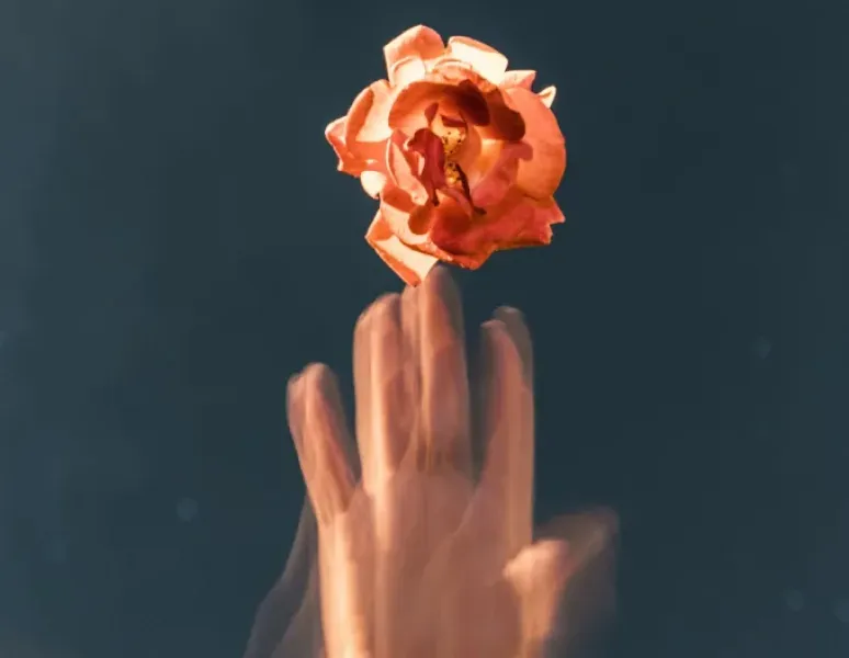Hand touching flower, representing low libido in women and the pelvic floor connection.