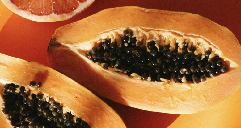 Big, colorful, ripe papayas set a warm, friendly tone for Origin’s blog.
