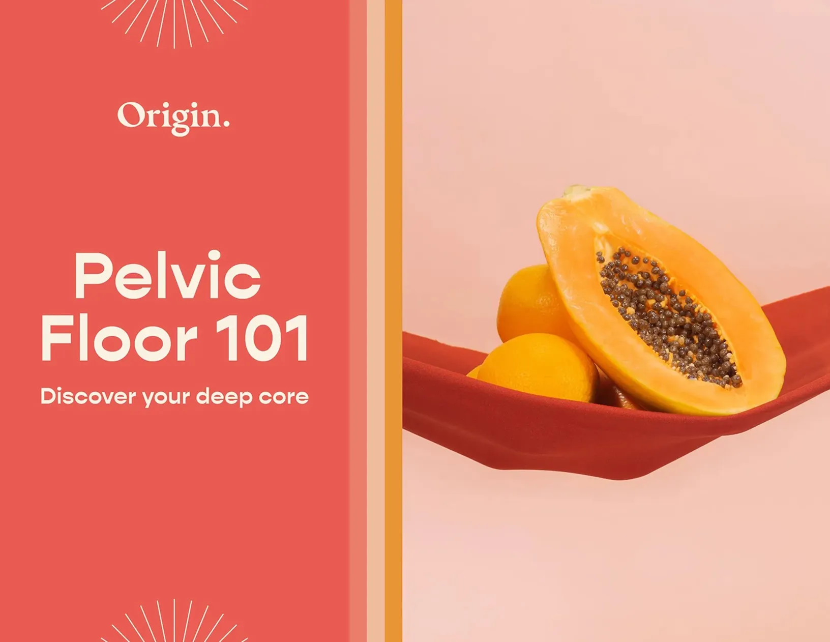 Pelvic floor 101 pdf.