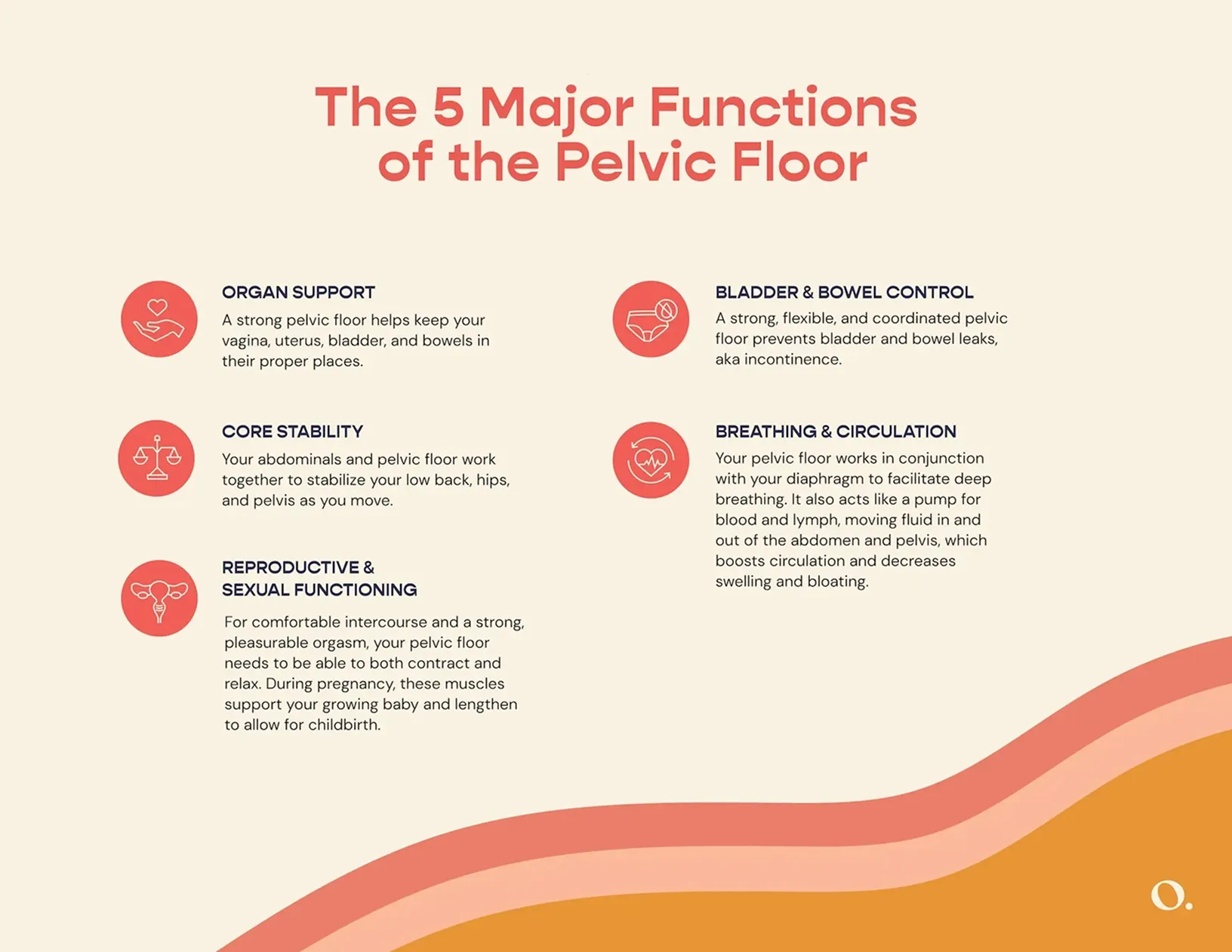 5 major functions of the pelvic floor.