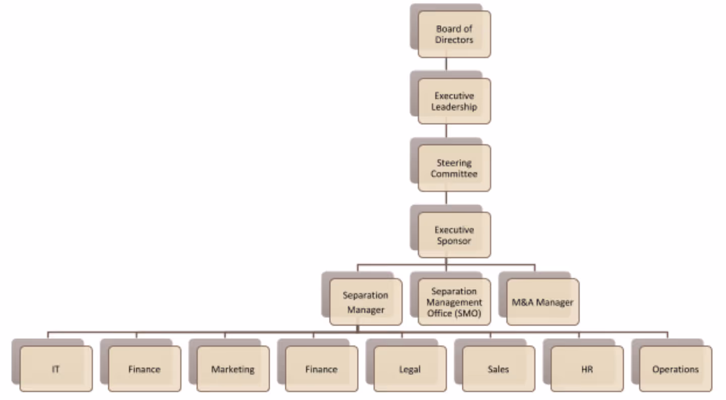 divestiture governance structure