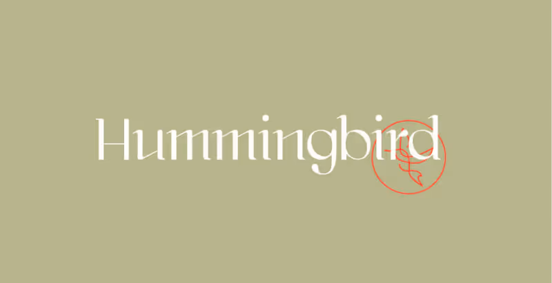 The word 'Hummingbird' in white serif font on a muted green background with a small red stylized hummingbird icon integrated into the letter 'd'.