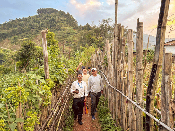 Eine Gruppe von Personen kommt einem auf einem Weg zwischen Feldern entgegen.