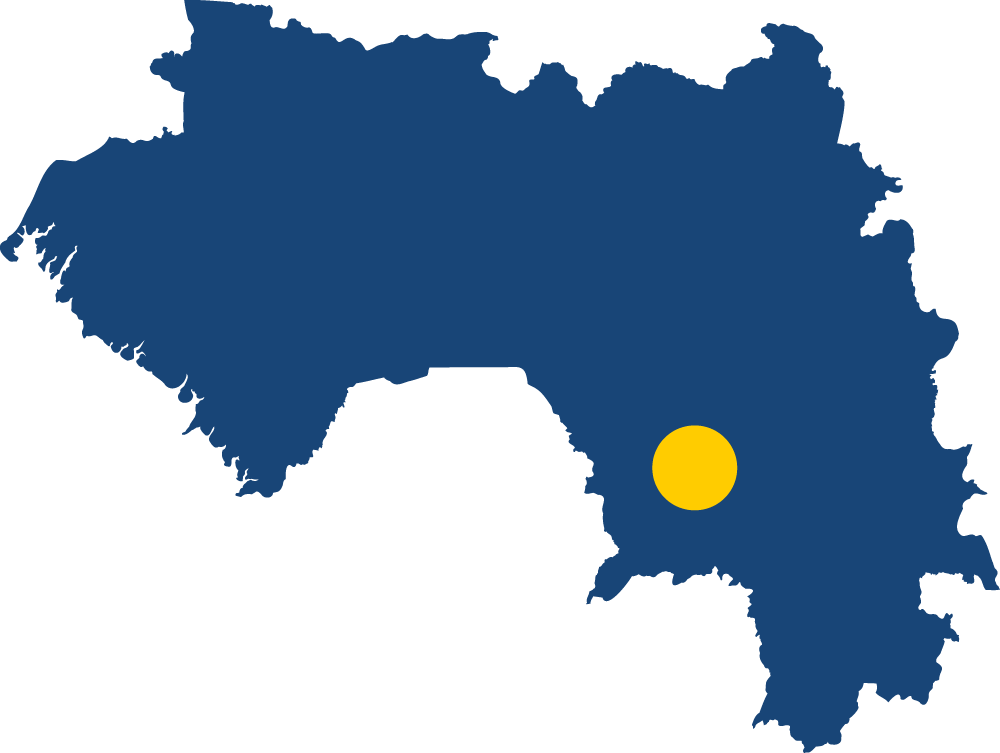 Guinea