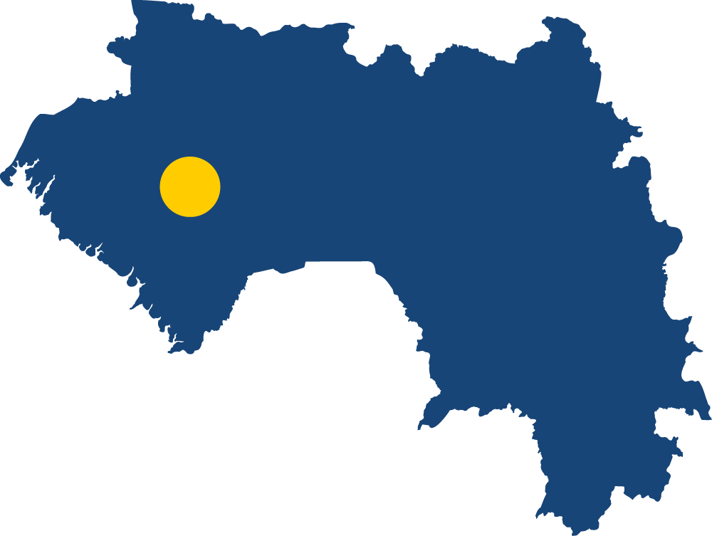 Guinea