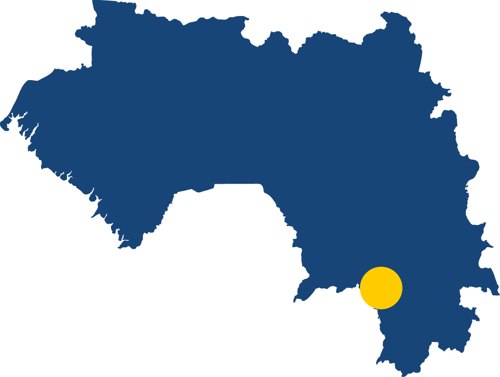 Guinea