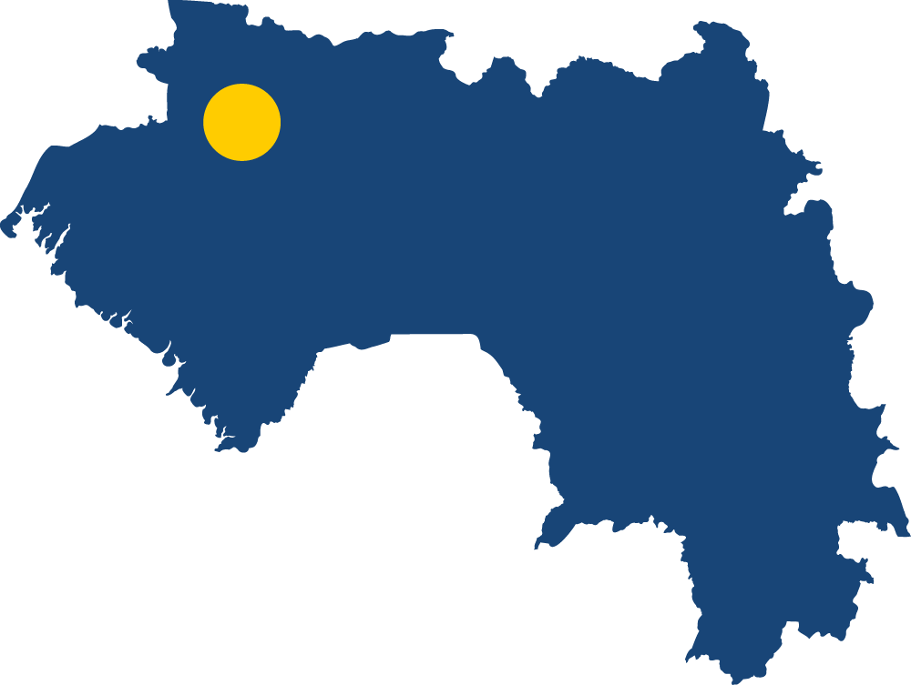 Guinea