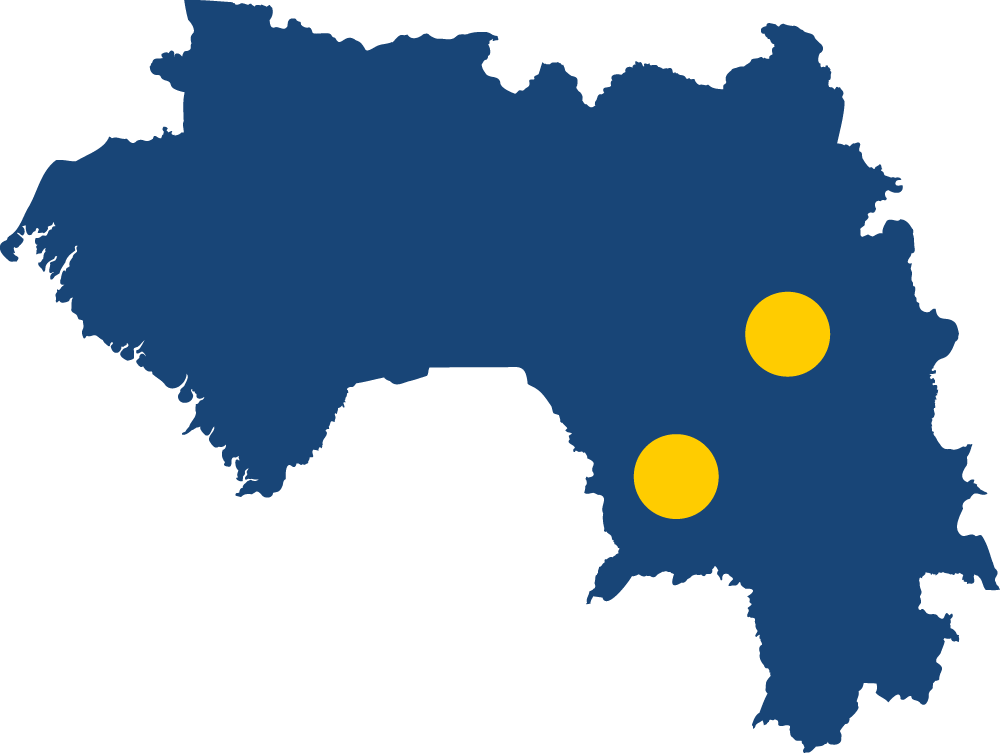 Guinea