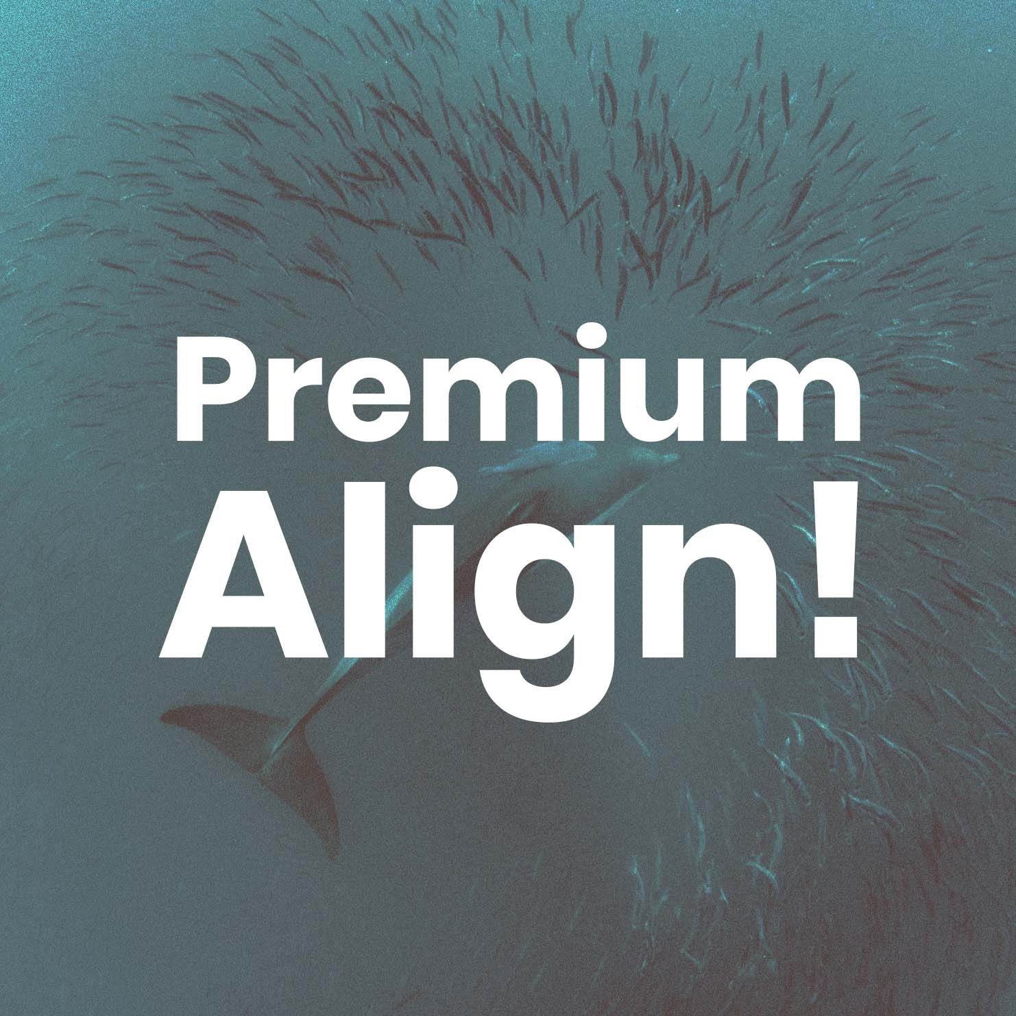 Premium Align!