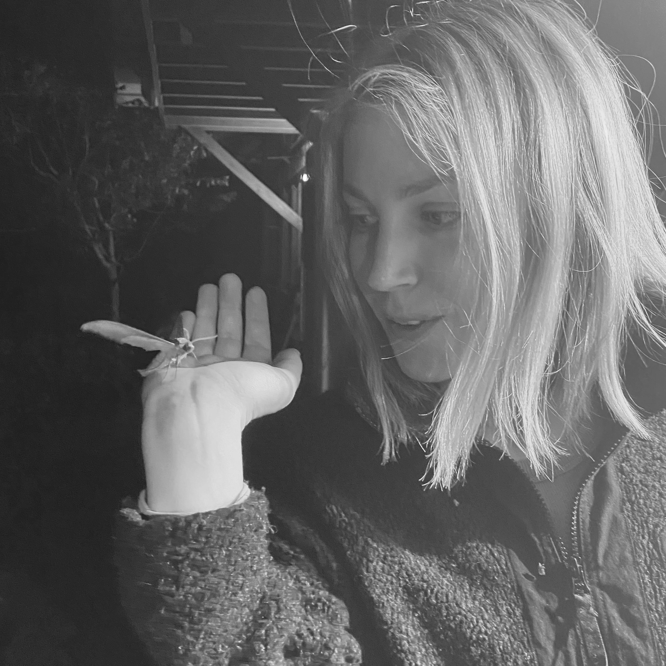 Anna Viklund