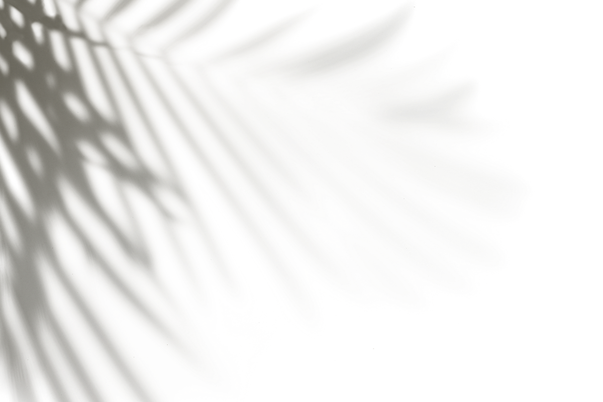 https://images.squarespace-cdn.com/content/v1/56db7d4a8a65e2210b5c0cb2/1561314277571-IFJ7449S541ZUAEH84LG/ke17ZwdGBToddI8pDm48kPqQfq0L3n3wpHIsRapTfg8UqsxRUqqbr1mOJYKfIPR7LoDQ9mXPOjoJoqy81S2I8N_N4V1vUb5AoIIIbLZhVYxCRW4BPu10St3TBAUQYVKcpZFgonhpUjQuR9UY_f4FRv01MfGGW-Q2SKIZAaCvwbmMH1mhS07BCLTJvtZLtrKj/Copy+of+IMG_6411.PNG?format=1500w
