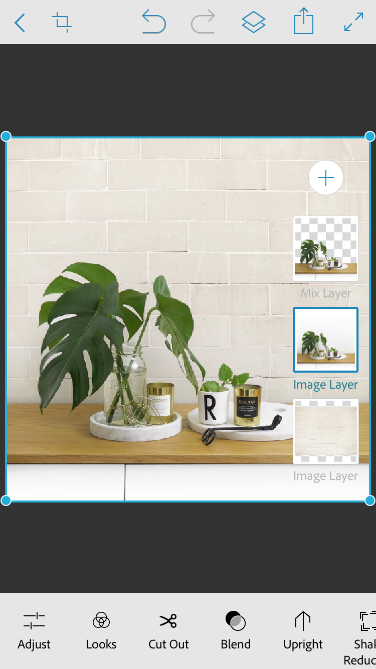 adjust layers changing backdrop of photo in Photoshop Mix